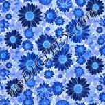 Colour:F