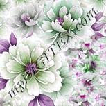Colour:B