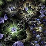 Colour:F