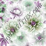 Colour:B