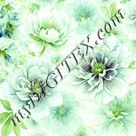 Colour:K
