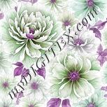 Colour:B