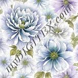 Colour:D
