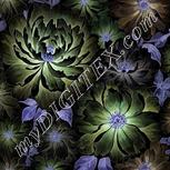 Colour:F