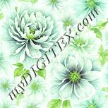 Colour:K