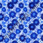 Colour:F