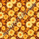 Colour:J