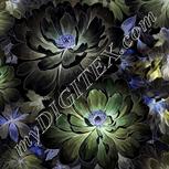Colour:F