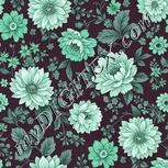 Colour:C