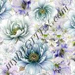 Colour:D