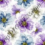 Colour:A