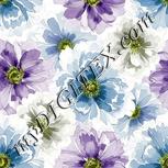 Colour:D