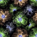 Colour:F