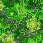 Colour:D