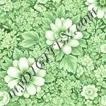 Colour:K