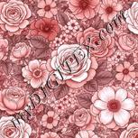 Colour:B