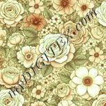 Colour:K