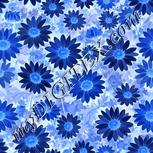 Colour:F