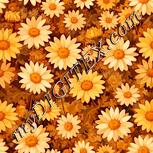 Colour:J