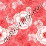 Colour:J