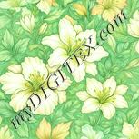 Colour:K