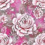 Colour:B