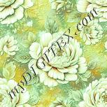 Colour:K
