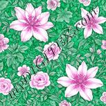 Colour:B