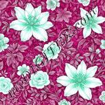 Colour:C