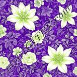Colour:D