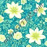 Colour:K
