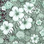 Colour:C