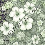 Colour:D