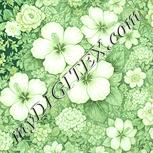 Colour:K