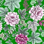 Colour:B