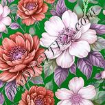 Colour:B