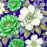 Colour:D