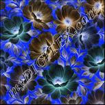 Colour:F