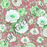 Colour:C