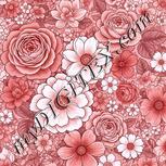 Colour:B