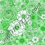 Colour:C