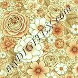 Colour:K