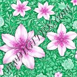 Colour:B