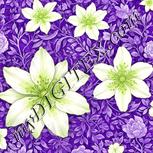 Colour:D