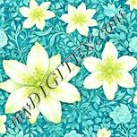 Colour:K
