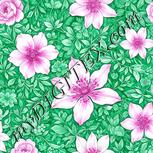 Colour:B
