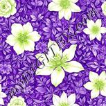 Colour:D
