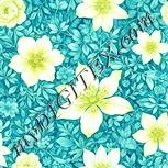 Colour:K