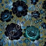 Colour:F