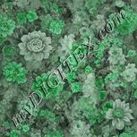 Colour:C